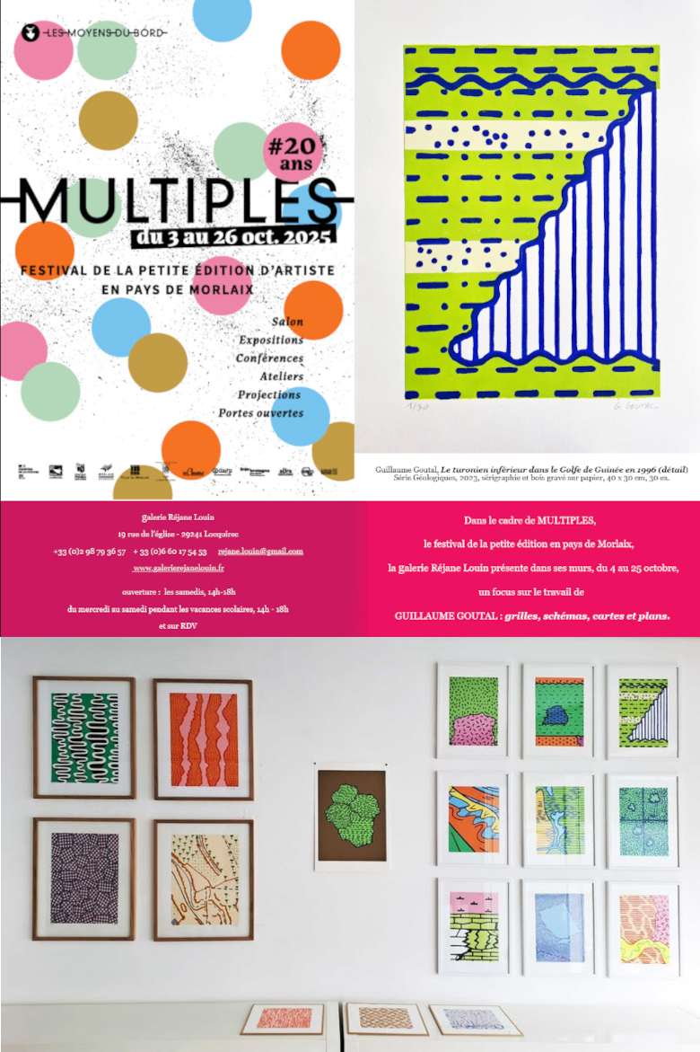 guillaume goutal multiples galerie rejane louin